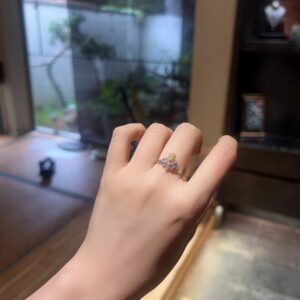 Golden Radiance Auspicious Ring✨